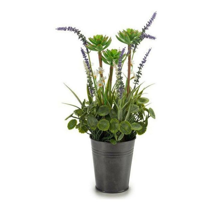 Maceta Metal Lavanda Surtidos Modelos Ibergarden 13X40CM (12 Unidades) Maceta Metal Lavanda Surtidos Modelos Ibergarden 13X40CM (12 Unidades)