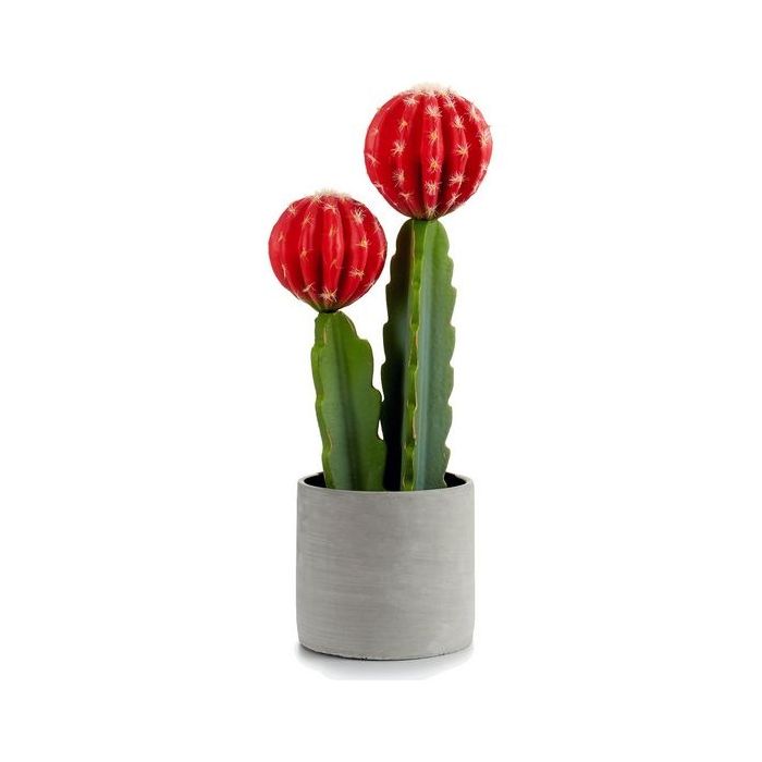 Cactus Plástico Roja Cactus (11 x 44 x 16 cm) 2