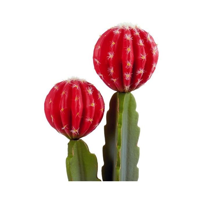 Cactus Plástico Roja Cactus (11 x 44 x 16 cm) 1