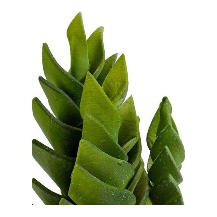 Cactus 23814//arte 12 x 24 x 12 cm 1 Cactus 23814//arte 12 x 24 x 12 cm 1