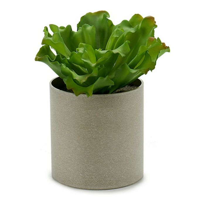 Maceta Planta Hoja Ondulada 3 Col Surt Ibergarden 20X25CM (12 Unidades) Maceta Planta Hoja Ondulada 3 Col Surt Ibergarden 20X25CM (12 Unidades)