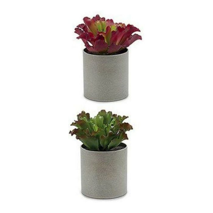 Planta Decorativa 20 x 25 x 20 cm 1 Planta Decorativa 20 x 25 x 20 cm 1