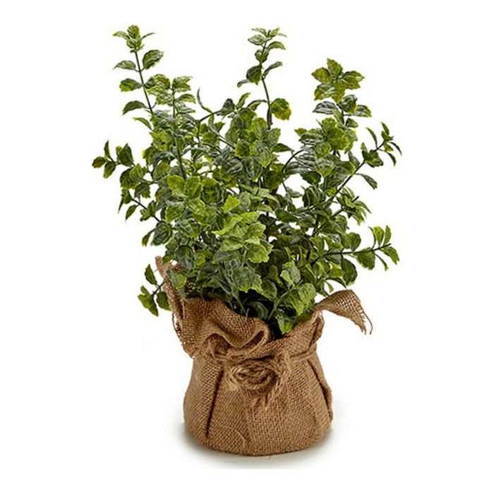 Planta Ramas Saco Blanca Surtidos Ibergarden 12X32CM (12 Unidades) Planta Ramas Saco Blanca Surtidos Ibergarden 12X32CM (12 Unidades)