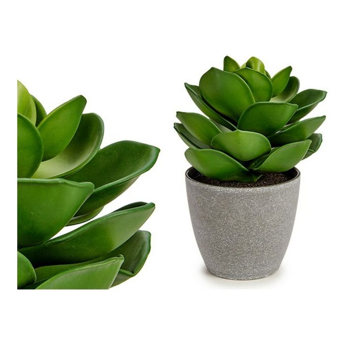 Planta Decorativa Gris 16 x 21 x 16 cm Verde Plástico