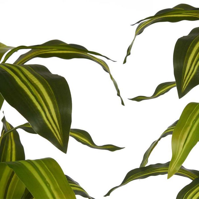 Planta Decorativa Hoja ancha Verde Plástico (70 x 120 x 70 cm) 1
