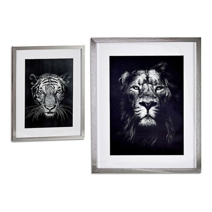 Cuadro Lion - Tiger (43 x 3 x 53 cm)