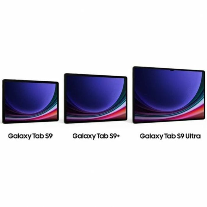 Tablet Samsung Galaxy Tab S9+ Gris 1 TB 256 GB 6