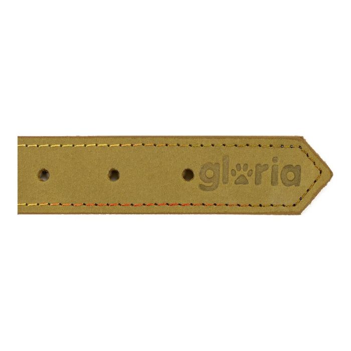 Collar para Perro Gloria Oasis Verde (60 x 3 cm) 1