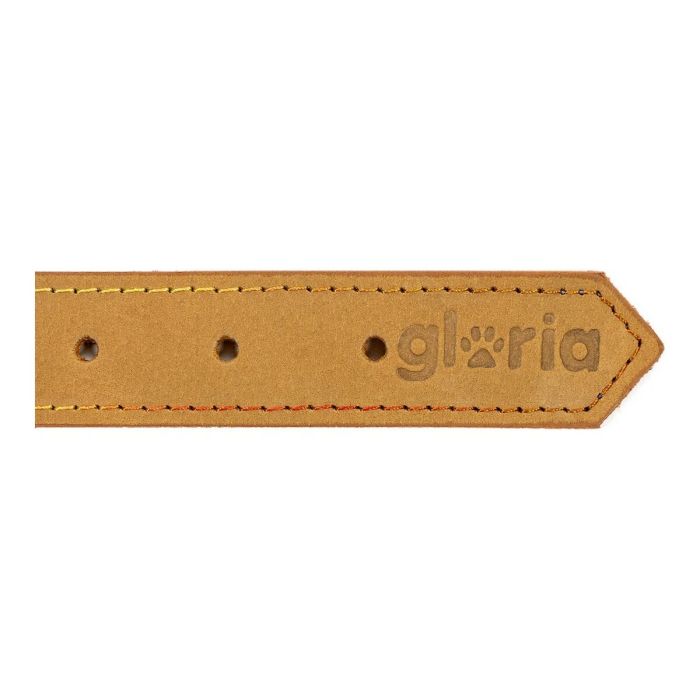 Collar para Perro Gloria Oasis Amarillo (65 x 3 cm) 2