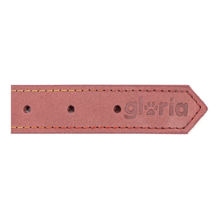 Collar para Perro Gloria Oasis Rosa (65 x 3 cm) 1