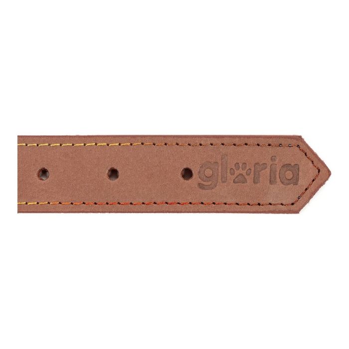Collar para Perro Gloria Oasis Marrón (70 x 3 cm) 2