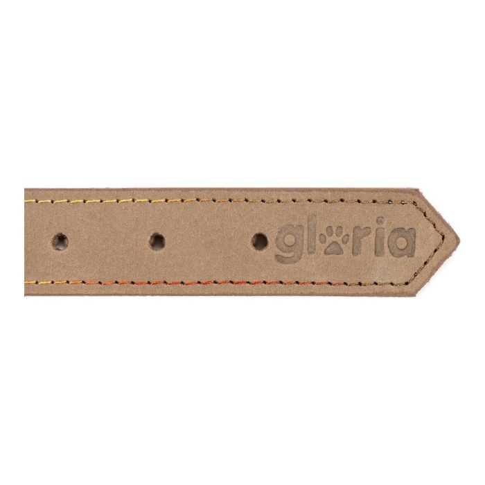 Collar para Perro Gloria Oasis Beige (1,2 x 35 cm) 1