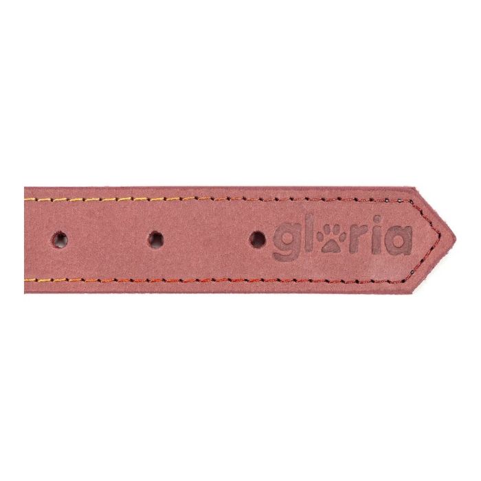 Collar para Perro Gloria Oasis Rosa (1,2 x 35 cm) 1