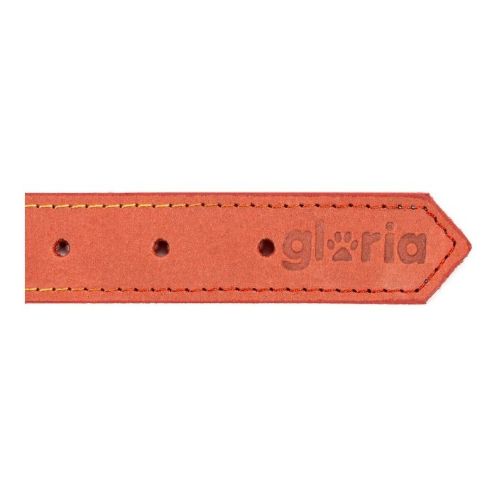 Collar para Perro Gloria Oasis Rojo (1,5 x 40 cm) 1