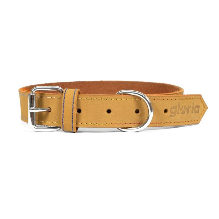 Collar para Perro Gloria Oasis Amarillo (1,5 x 40 cm)