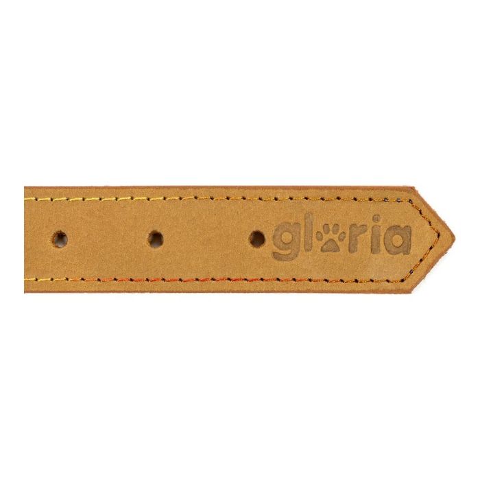 Collar para Perro Gloria Oasis Amarillo (1,5 x 40 cm) 2