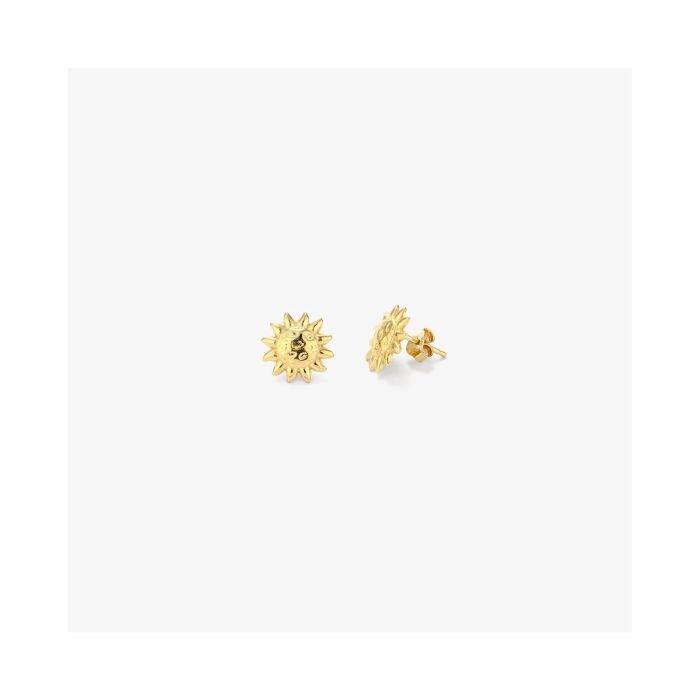 Pendientes Mujer Radiant RY000153 3