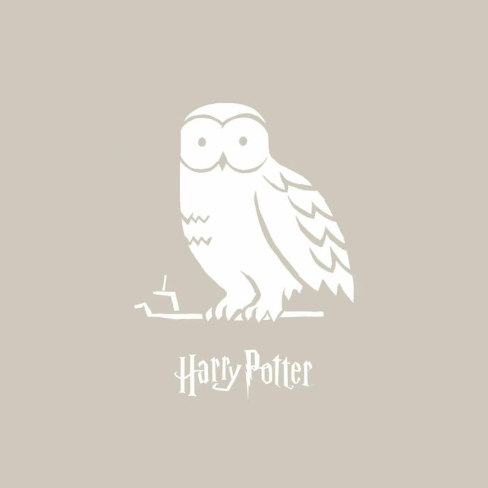 Funda Nórdica Harry Potter Magical Hedwig Multicolor 140 x 200 cm Cama de 80 1