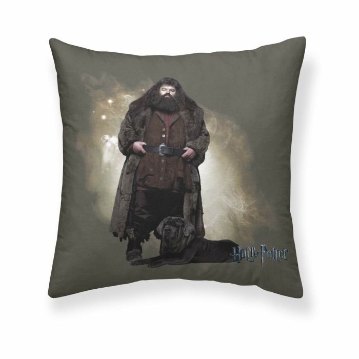 Funda de cojín Harry Potter Hagrid Multicolor 50 x 50 cm