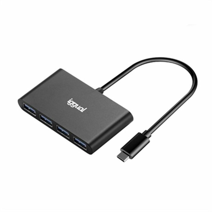 Hub USB 4 Puertos iggual IGG317716 Negro
