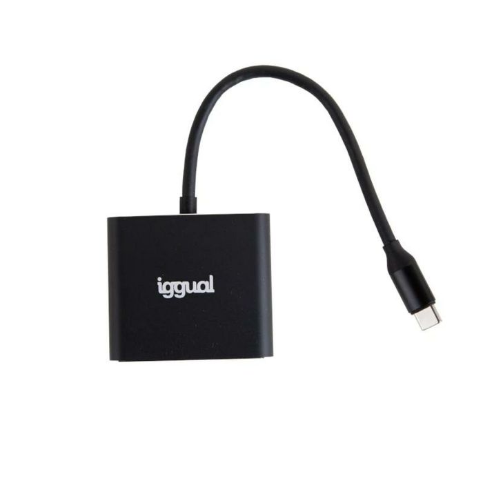 Hub USB iggual IGG318461 3