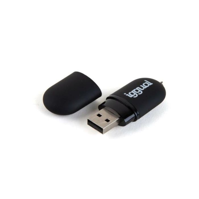 Memoria USB iggual IGG318492 Negro USB 2.0 x 1 2