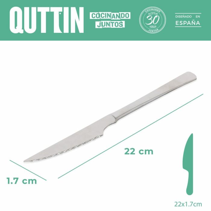 Set de Cuchillos para Carne Madrid Quttin (21 cm) 2