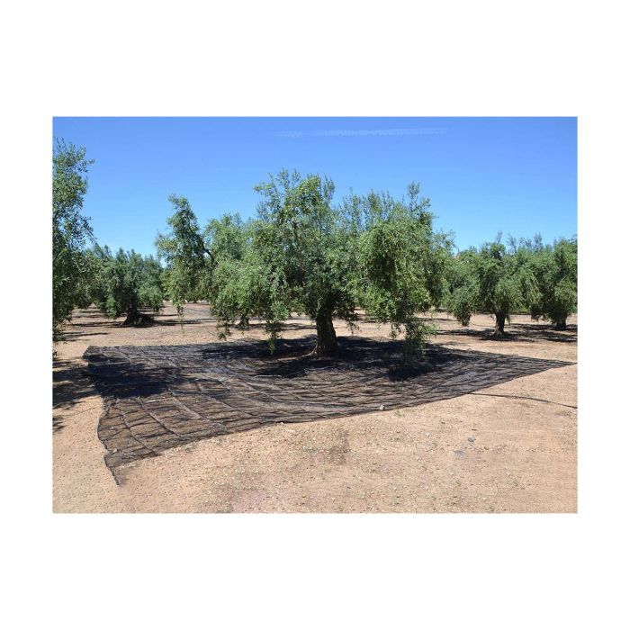 Lona de Protección Polipropileno (7 x 14 m) 1 Lona de Protección Polipropileno (7 x 14 m) 1