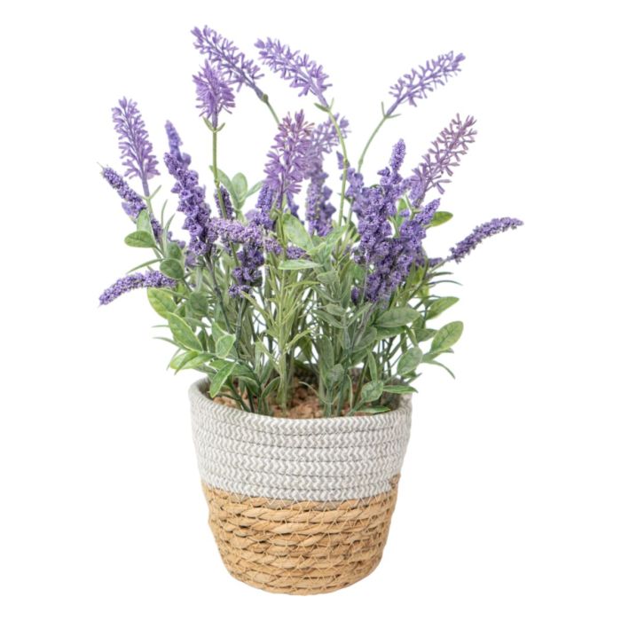 Planta Decorativa Romimex Plástico Fibra Lavanda 15 x 38 x 15 cm