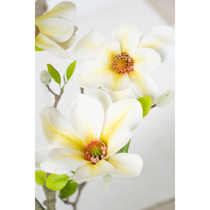 Flores Decorativas Romimex Blanco Magnolia 70 x 150 x 60 cm 1