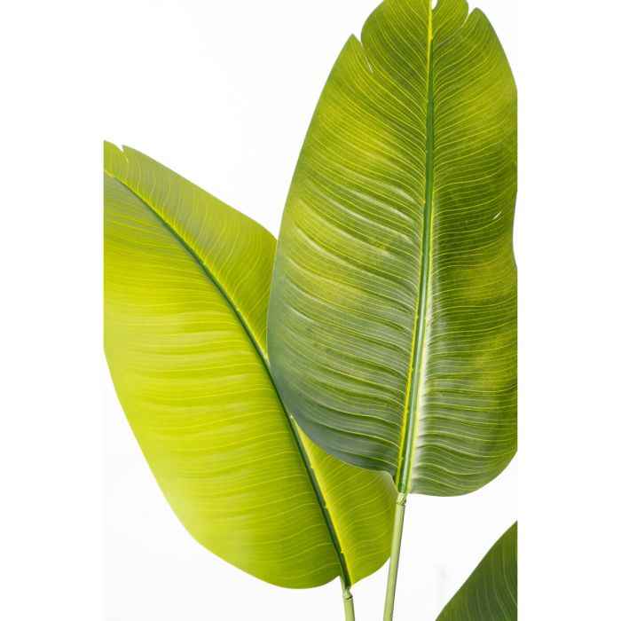 Planta Decorativa Romimex Strelitzia Plástico 70 x 140 x 70 cm 1