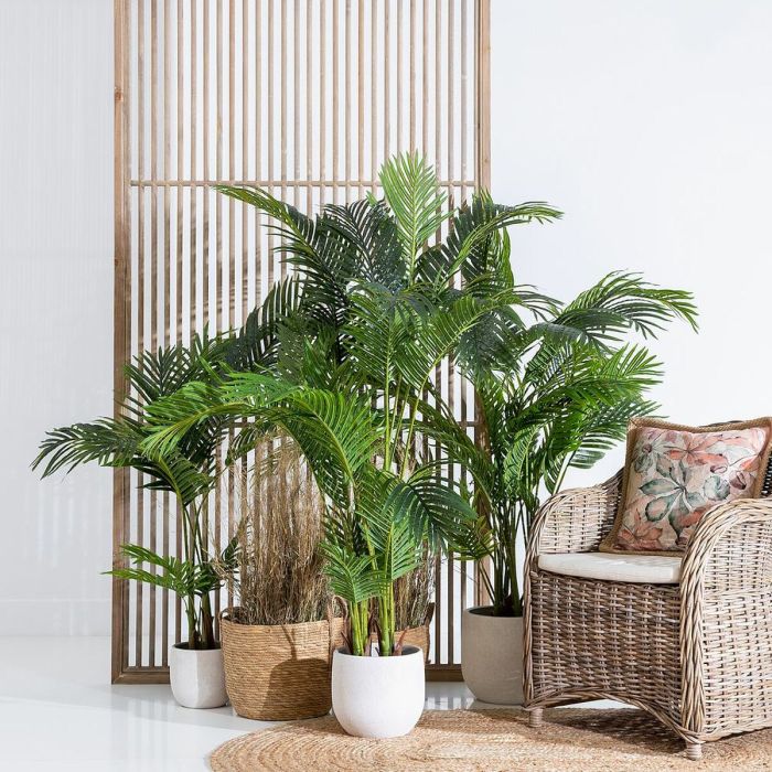 Planta Decorativa Polietileno Palmera 110 x 110 x 170 cm 4