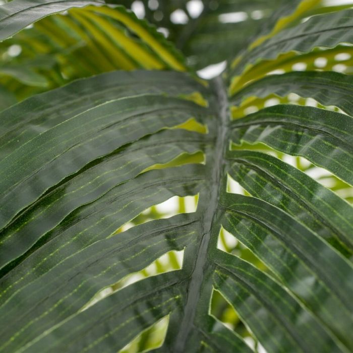 Planta Decorativa Polietileno Palmera 170 cm 4