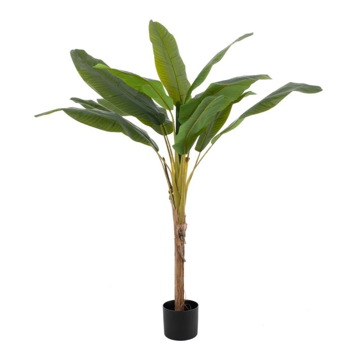 Planta Decorativa 78 x 78 x 155 cm Verde Bananera Planta Decorativa 78 x 78 x 155 cm Verde Bananera