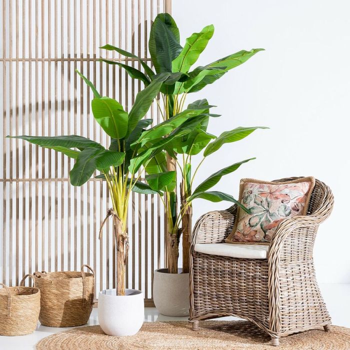 Planta Decorativa 78 x 78 x 155 cm Verde Bananera 5 Planta Decorativa 78 x 78 x 155 cm Verde Bananera 5