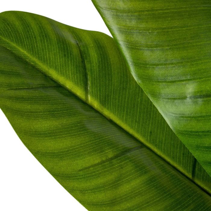 Planta Decorativa 78 x 78 x 155 cm Verde Bananera 4 Planta Decorativa 78 x 78 x 155 cm Verde Bananera 4