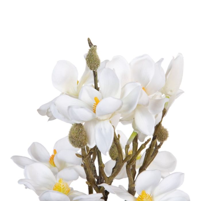 Ramo Blanco Verde 37 x 20 x 41 cm Magnolia 2