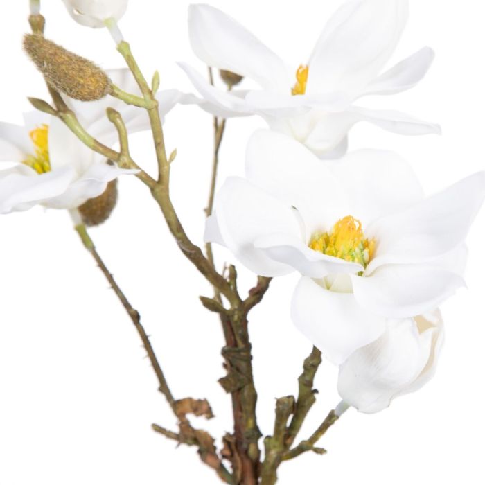 Planta Decorativa Poliéster Polietileno Hierro 22 x 22 x 38 cm Magnolia 2