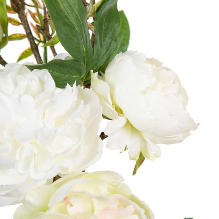 Flores Decorativas 65 x 30 x 18 cm Blanco Peonía 3