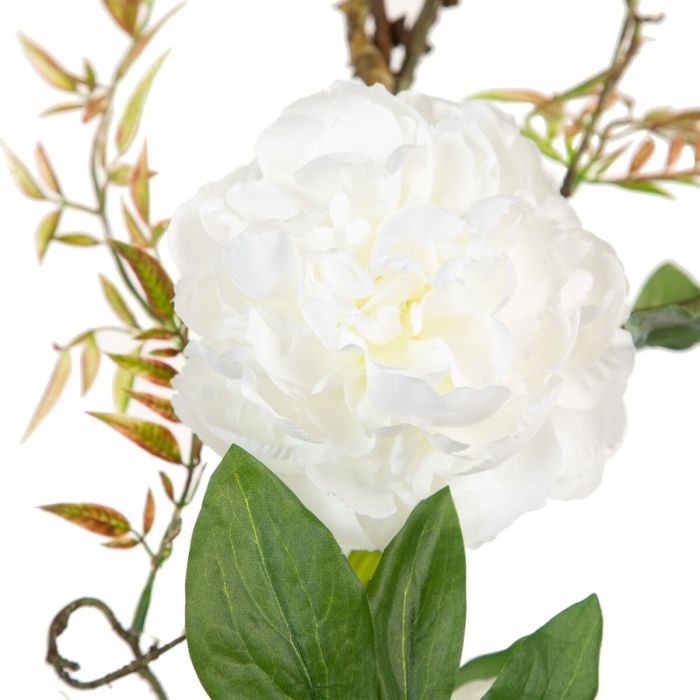 Flores Decorativas 160 x 30 x 24 cm Blanco Peonía 2