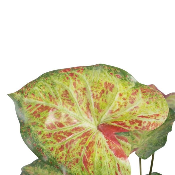 Planta Decorativa 48 x 46 x 55 cm Rojo Verde PVC 3