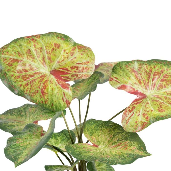 Planta Decorativa 48 x 46 x 55 cm Rojo Verde PVC 2