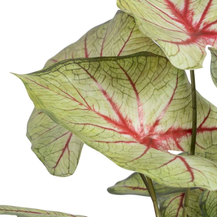 Planta Decorativa Rojo Verde PVC 40 x 35 x 55 cm 3