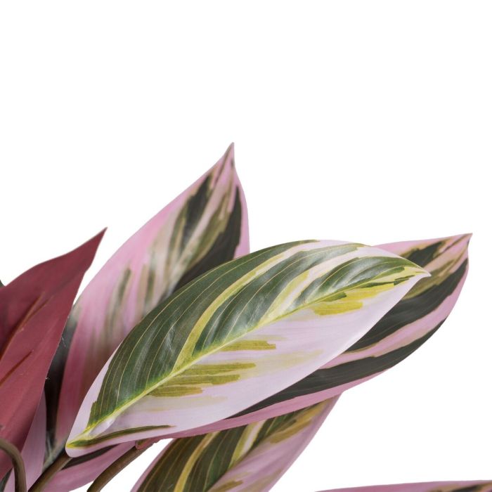 Planta Decorativa 44 x 39 x 48 cm Rosa Verde PVC 3
