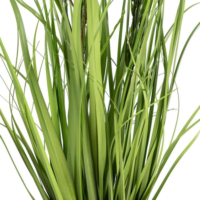 Planta Decorativa 45 x 40 x 74 cm Verde PVC 2