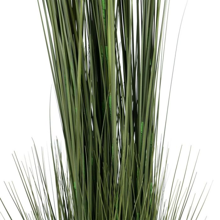 Planta Decorativa 44 x 48 x 200 cm Verde Crema PVC 3