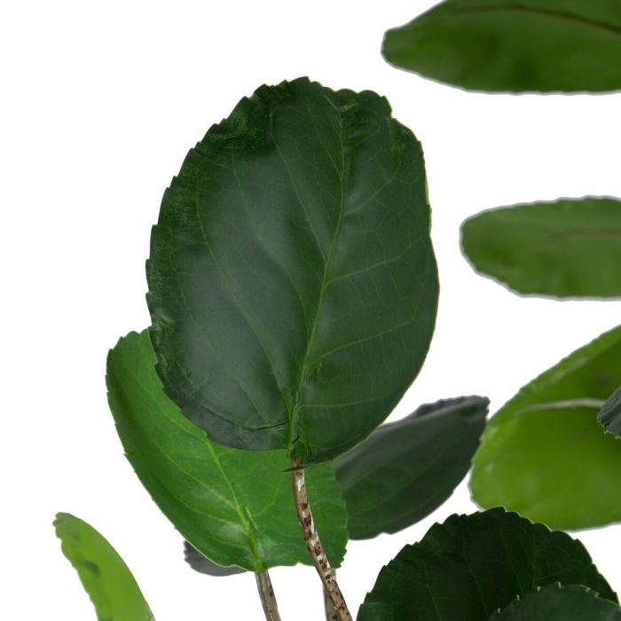 Planta Decorativa 80 x 77 x 113 cm Verde PVC Aralia 3