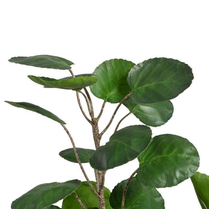 Planta Decorativa 80 x 77 x 113 cm Verde PVC Aralia 2