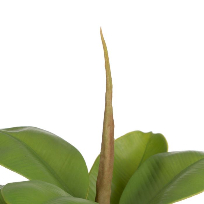 Planta Decorativa Verde PVC Roble 58 cm 5