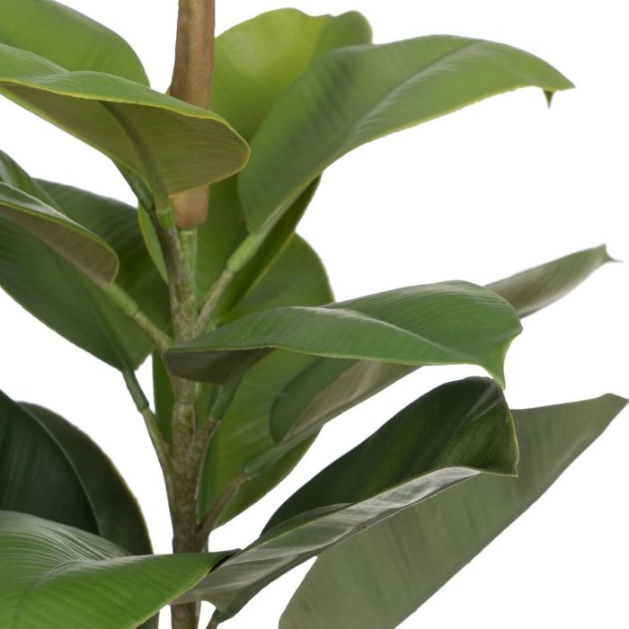 Planta Decorativa Verde PVC Roble 58 cm 4